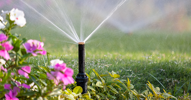 Sprinkler head spraying water.