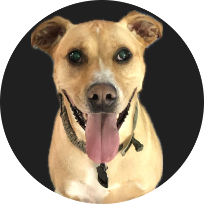 Duke