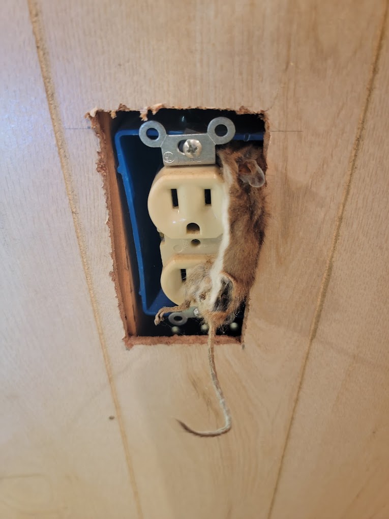 Hot Mouse