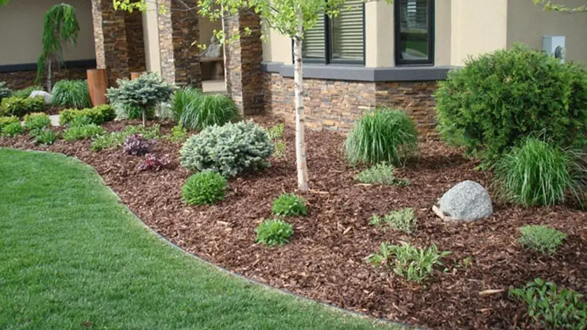 Exterior yard.