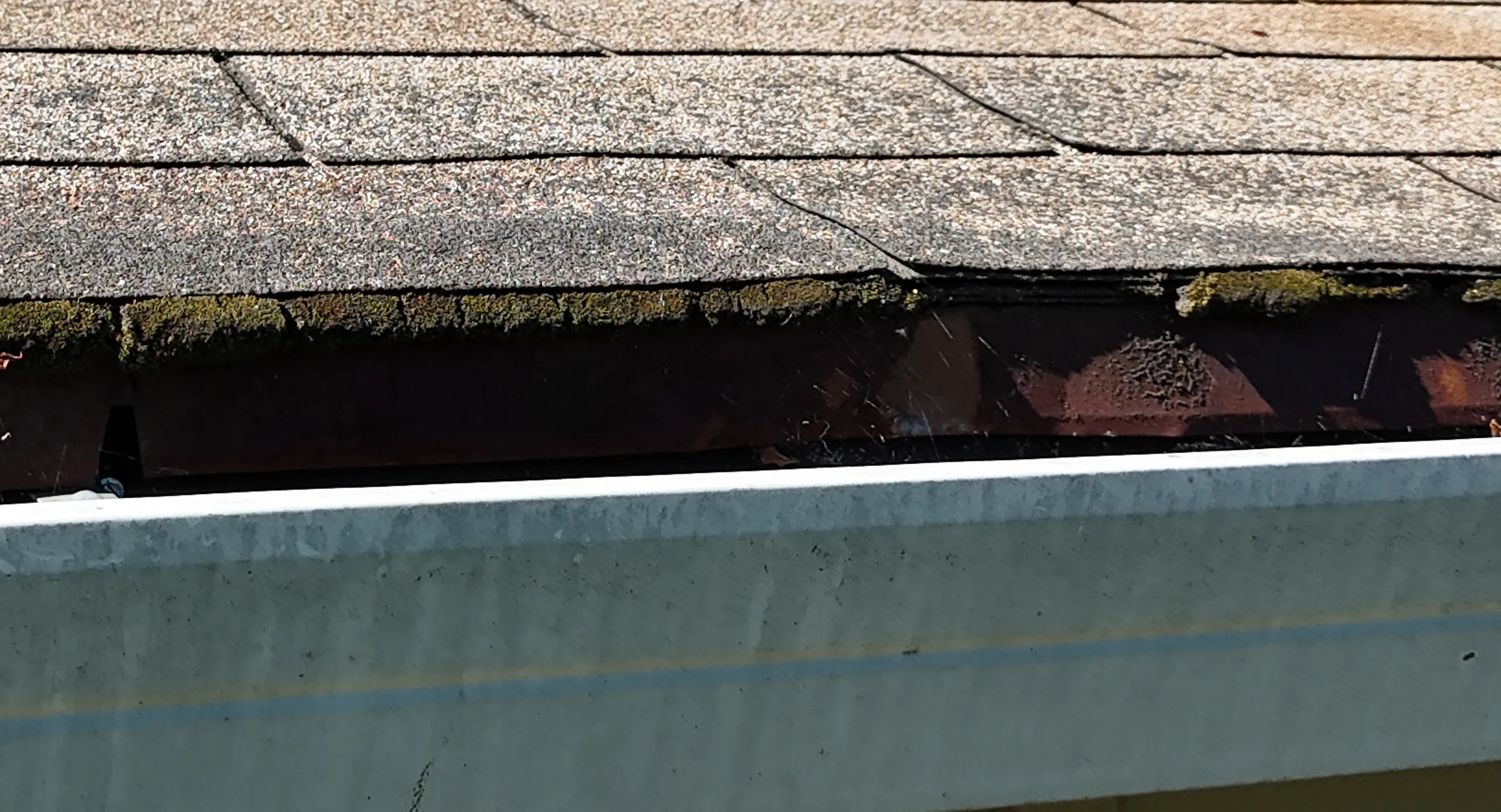 roof inspection Sonoma County home.