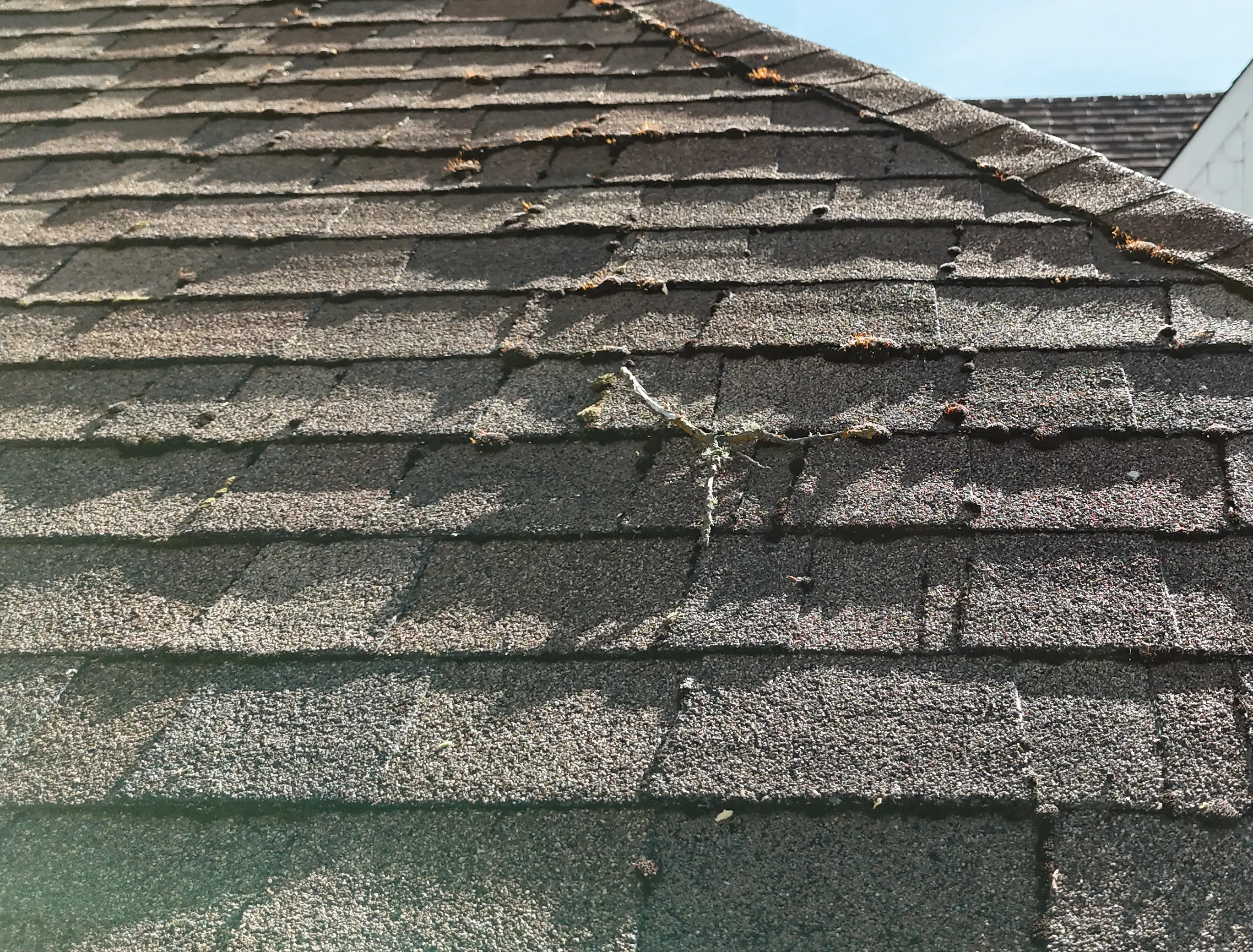 HouseMaster technician inspecting a water quality testing Sonoma County home. water heater.