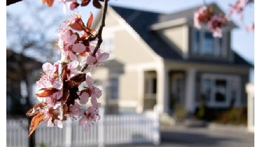 spring home maintenance